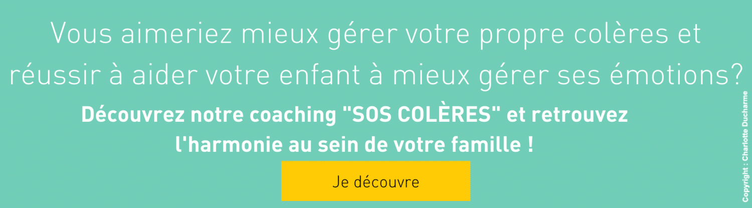 Crise De Colere De Mon Enfant Comment Garder La Tete Froide Crise De Colere De Mon Enfant Comment Garder La Tete Froide