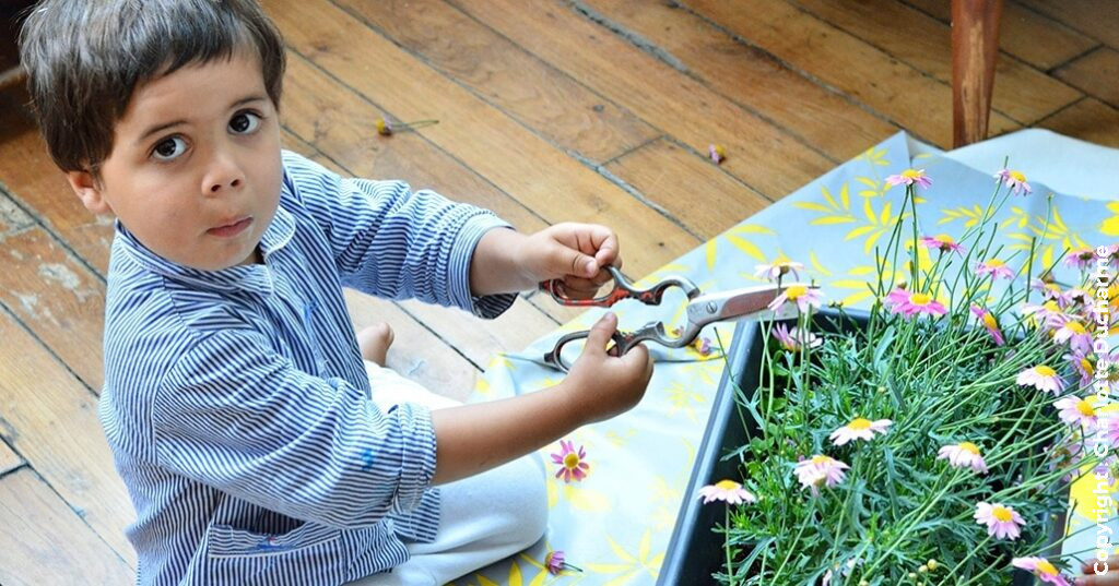 Activité montessori jardinage