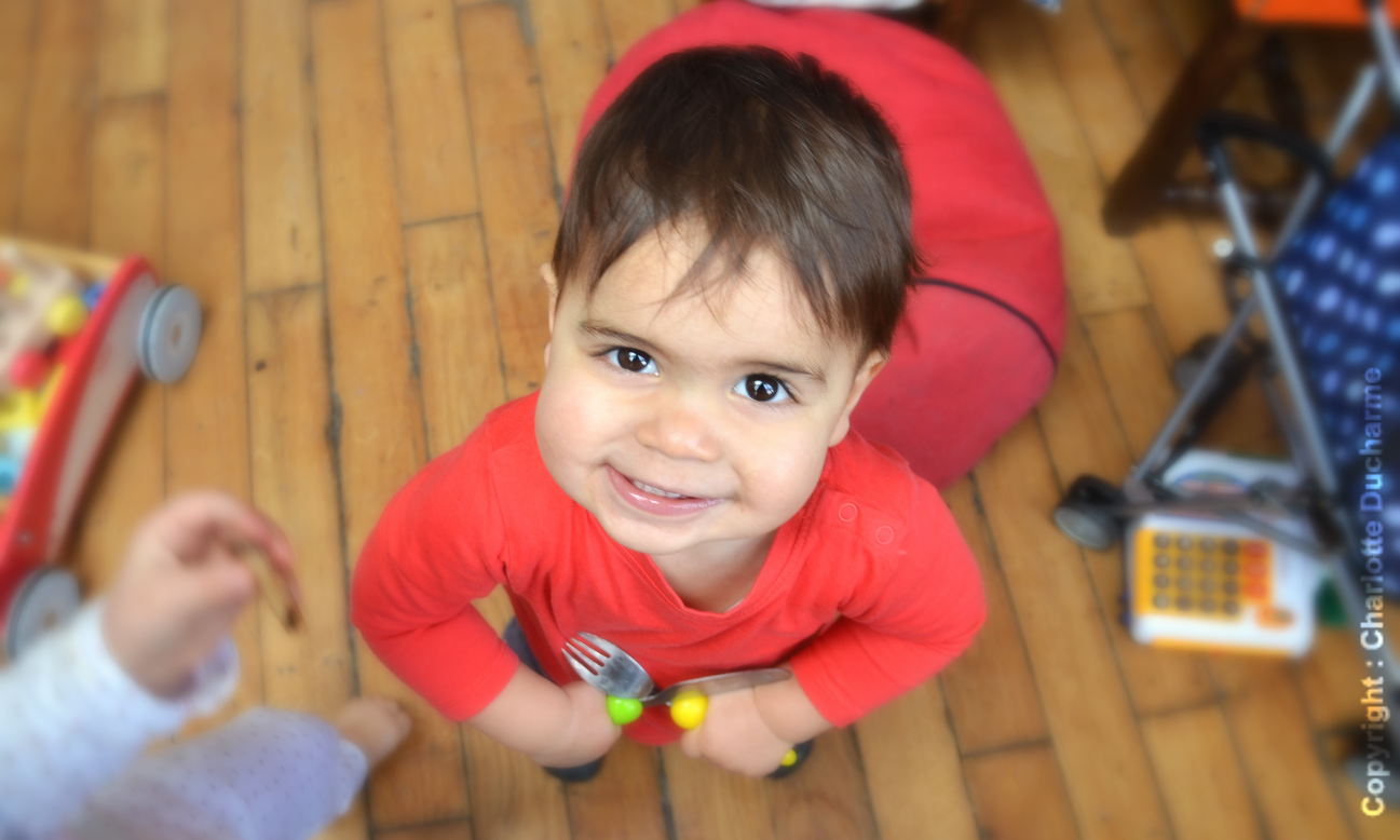 Mon bébé de 11 mois – 24 mois ne respecte pas les interdits - Cool Parents  Make Happy Kids